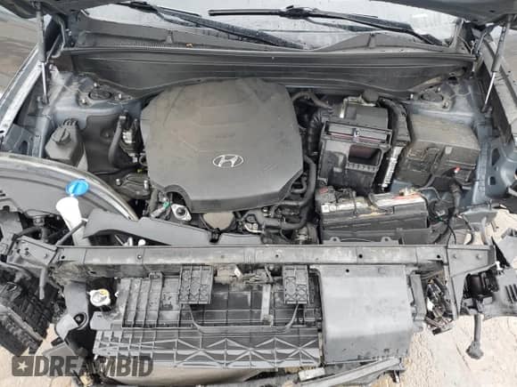 2020 Hyundai Palisade SEL с VIN KM8R44HE5LU089124, выставлен на аукционе Copart как лот 56408465 с пробегом 84 142 миль миль и Списание • Salvage title. История ставок и продаж доступна на DreamBid. Изображение 12.
