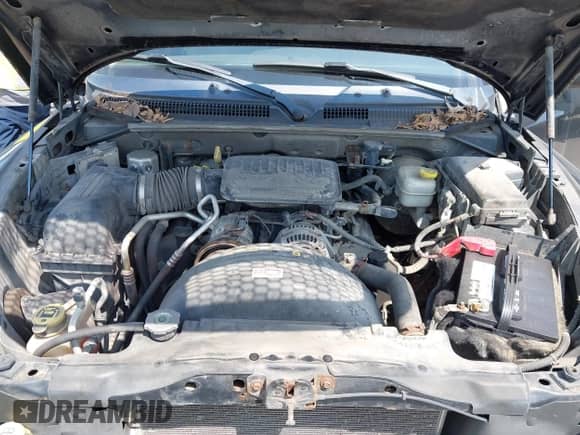 2008 Dodge Dakota SLT with VIN 1D7HW48K78S593988, listed as a IAAI auction lot 42825788 with 216,208 mi miles and . Bid and sale history available at DreamBid. Image 10.