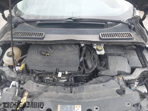 2018 Ford Escape SE с VIN 1FMCU9GD7JUA58093, выставлен на аукционе IAAI как лот 43185112 с пробегом 112 038 миль миль и . История ставок и продаж доступна на DreamBid. Изображение 10.