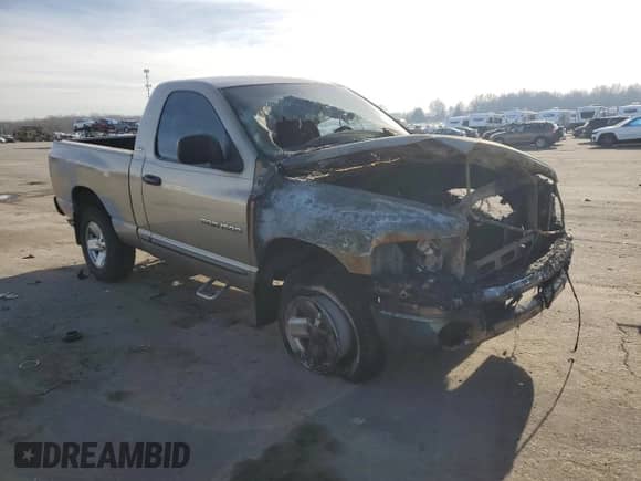 2002 Dodge 1500 z VIN 1D7HU16N22J128145, wystawiony jako Copart lot #86632984 z przebiegiem Nie podano mil oraz Szkoda całkowita • Salvage title. Historia ofert i sprzedaży dostępna na DreamBid. Obrazek 4.