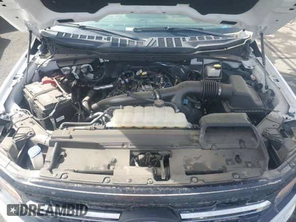 2024 Ford F-150 с VIN 1FTEX3KP1RKD61705, выставлен на аукционе Copart как лот 71430065 с пробегом 19 855 миль миль и Списание • Salvage title. История ставок и продаж доступна на DreamBid. Изображение 12.