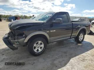 2010 Dodge 1500 Sport z VIN 3D7JV1ET2AG119024, wystawiony jako Copart lot #46173275 z przebiegiem 113 766 mil mil oraz Szkoda całkowita • Salvage title. Historia ofert i sprzedaży dostępna na DreamBid. Obrazek 1.