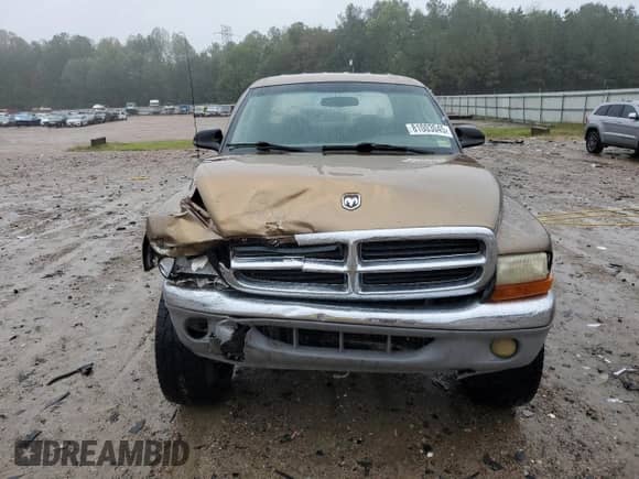 2001 Dodge Dakota Sport with VIN 1B7GG2AN71S188389, listed as a Copart auction lot 81003045 with 203,492 mi miles and Salvage title. Bid and sale history available at DreamBid. Image 5.