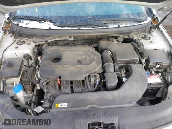 2017 Hyundai Sonata SE с VIN 5NPE24AF1HH566046, выставлен на аукционе IAAI как лот 41244847 с пробегом Не указан миль и . История ставок и продаж доступна на DreamBid. Изображение 10.