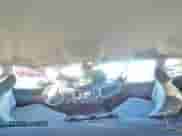 2023 Ram 1500 Tradesman z VIN 1C6RR7FT6PS586023, wystawiony jako Copart lot #82373804 z przebiegiem 3 304 mil mil oraz Szkoda całkowita • Salvage title. Historia ofert i sprzedaży dostępna na DreamBid. Obrazek 12.