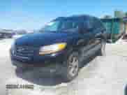 2012 Hyundai Santa Fe SE with VIN 5XYZHDAG8CG117858, listed as a IAAI auction lot 43088165 with 147,208 mi miles and . Bid and sale history available at DreamBid. Image 2.