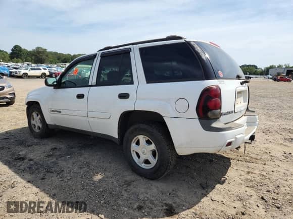 2002 Chevrolet TrailBlazer LS with VIN 1GNDS13S522453625, listed as a Copart auction lot 70542995 with 229,988 mi miles and Clean title. Bid and sale history available at DreamBid. Image 2.