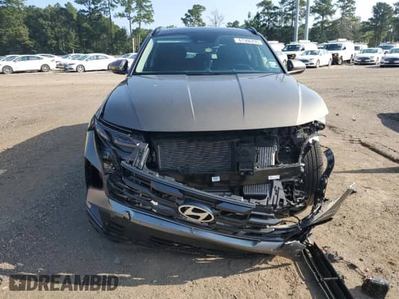 2025 Hyundai Tucson SEL Convenience с VIN KM8JCDD11SU346488, выставлен на аукционе Copart как лот 67366295 с пробегом 6 203 миль миль и Списание • Salvage title. История ставок и продаж доступна на DreamBid. Изображение 5.