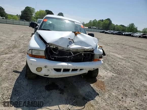 2002 Dodge Dakota SLT with VIN 1B7HG48N12S551650, listed as a Copart auction lot 49324025 with 183,653 mi miles and Salvage title. Bid and sale history available at DreamBid. Image 11.