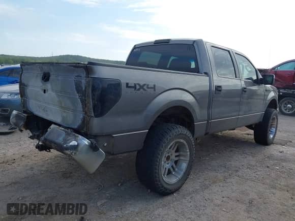 2009 Ford F-150 XL with VIN 1FTRW14889FA64826, listed as a IAAI auction lot 42670266 with 234,559 mi miles and . Bid and sale history available at DreamBid. Image 4.