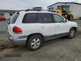 2006 Hyundai Santa Fe GLS с VIN KM8SC73D96U088180, выставлен на аукционе Copart как лот 75359334 с пробегом 150 999 миль миль и Списание • Salvage title. История ставок и продаж доступна на DreamBid. Изображение 3.