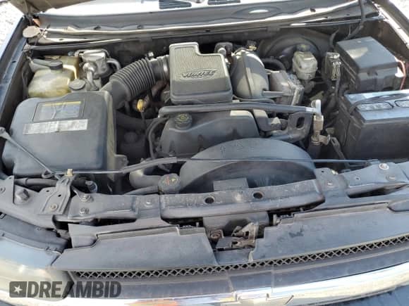 2005 Chevrolet TrailBlazer LT z VIN 1GNET16S056145112, wystawiony jako Copart lot #63267735 z przebiegiem Nie podano mil oraz Szkoda całkowita • Salvage title. Historia ofert i sprzedaży dostępna na DreamBid. Obrazek 12.