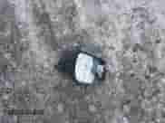 2010 Hyundai Accent Blue z VIN KMHCM3AC7AU175461, wystawiony jako IAAI lot #41408642 z przebiegiem 151 660 mil mil oraz . Historia ofert i sprzedaży dostępna na DreamBid. Obrazek 11.