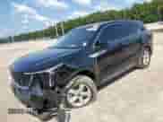 2024 Kia Sorento LX with VIN 5XYRG4JC9RG266093, listed as a Copart auction lot 80208825 with Not provided miles and Salvage title. Bid and sale history available at DreamBid. Image 1.