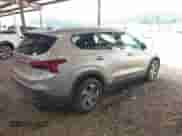 2023 Hyundai Santa Fe SEL с VIN 5NMS24AJ8PH625595, выставлен на аукционе IAAI как лот 42894221 с пробегом 24 563 миль миль и . История ставок и продаж доступна на DreamBid. Изображение 4.