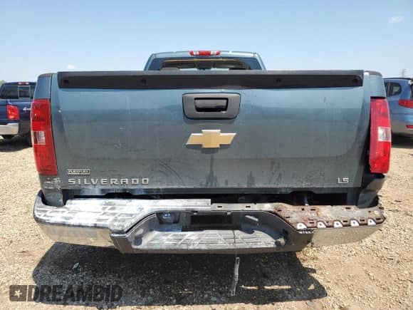 2009 Chevrolet Silverado 1500 Work Truck with VIN 1GCEC14X39Z200289, listed as a Copart auction lot 68200655 with Not provided miles and Salvage title. Bid and sale history available at DreamBid. Image 6.