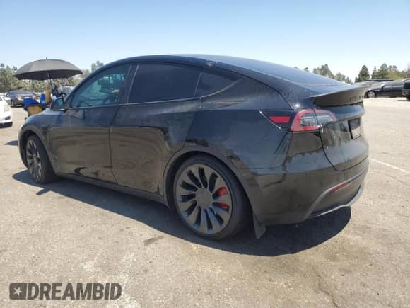 2023 Tesla Model Y Performance с VIN 7SAYGDEF3PF978879, выставлен на аукционе Copart как лот 67779005 с пробегом 46 825 миль миль и Списание • Salvage title. История ставок и продаж доступна на DreamBid. Изображение 2.