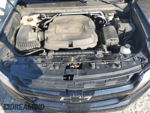 2016 Chevrolet Colorado 4WD LT с VIN 1GCGTCE36G1190658, выставлен на аукционе Copart как лот 80829225 с пробегом 119 901 миль миль и Списание • Salvage title. История ставок и продаж доступна на DreamBid. Изображение 11.