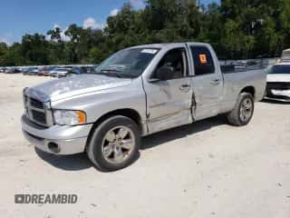 2002 Dodge 1500 z VIN 1D7HA18Z12J258099, wystawiony jako Copart lot #72187704 z przebiegiem 355 763 mil mil oraz Szkoda całkowita • Salvage title. Historia ofert i sprzedaży dostępna na DreamBid. Obrazek 1.