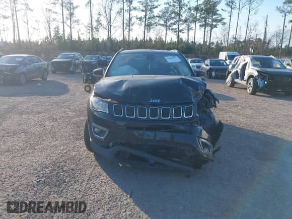 2019 Jeep Compass Limited with VIN 3C4NJCCBXKT613489, listed as a IAAI auction lot 41308800 with 94,129 mi miles and . Bid and sale history available at DreamBid. Image 11.