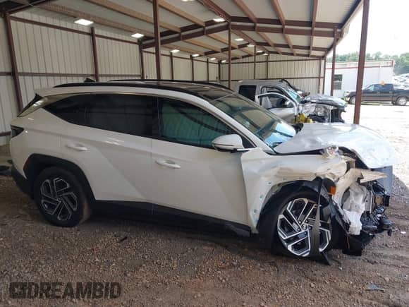 2025 Hyundai Tucson Limited с VIN KM8JEDD19SU309070, выставлен на аукционе IAAI как лот 42652220 с пробегом 2 520 миль миль и . История ставок и продаж доступна на DreamBid. Изображение 14.