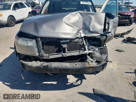 2008 Chevrolet TrailBlazer 2LT with VIN 1GNDS13S482126495, listed as a Copart auction lot 85143505 with Not provided miles and Salvage title. Bid and sale history available at DreamBid. Image 12.