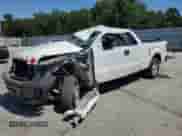 2009 Ford F-150 STX with VIN 1FTRX12W09KA70545, listed as a Copart auction lot 67214725 with Not provided miles and Salvage title. Bid and sale history available at DreamBid. Image 1.