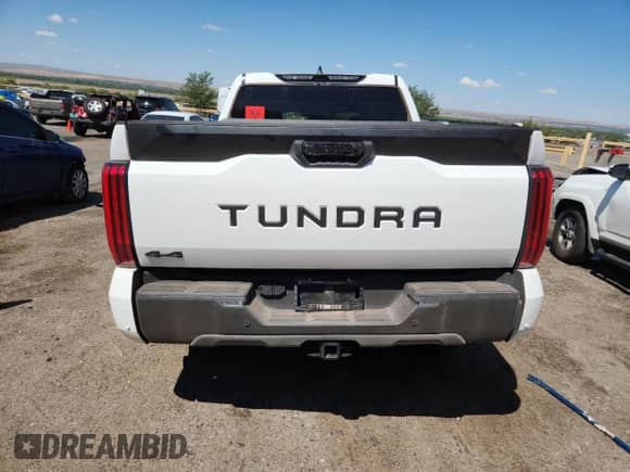 2025 Toyota Tundra SR with VIN 5TFLA5DB9SX315019, listed as a Copart auction lot 69427205 with Not provided miles and Salvage title. Bid and sale history available at DreamBid. Image 6.