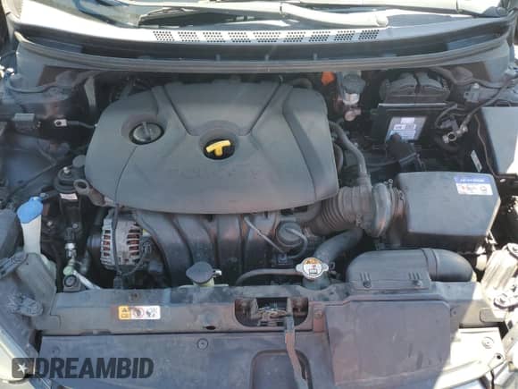 2013 Hyundai Elantra GS z VIN KMHDH6AE6DU012140, wystawiony jako Copart lot #81452425 z przebiegiem 144 304 mil mil oraz Szkoda całkowita • Salvage title. Historia ofert i sprzedaży dostępna na DreamBid. Obrazek 12.