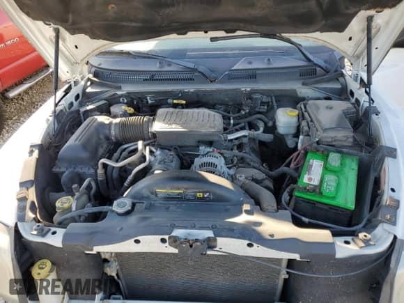 2005 Dodge Dakota with VIN 1D7HW52N65S257043, listed as a Copart auction lot 74013574 with 187,829 mi miles and Salvage title. Bid and sale history available at DreamBid. Image 11.