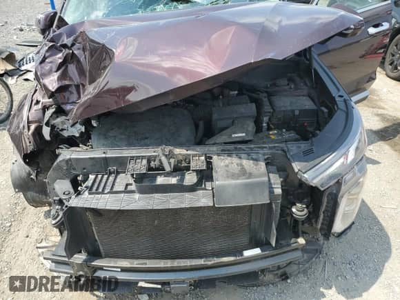 2021 Hyundai Palisade SEL with VIN KM8R3DHE4MU267495, listed as a Copart auction lot 59727554 with 79,764 mi miles and Salvage title. Bid and sale history available at DreamBid. Image 12.