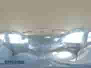 2015 Hyundai Tucson SE с VIN KM8JU3AG7FU083820, выставлен на аукционе Copart как лот 53517765 с пробегом 103 510 миль миль и Списание • Salvage title. История ставок и продаж доступна на DreamBid. Изображение 13.