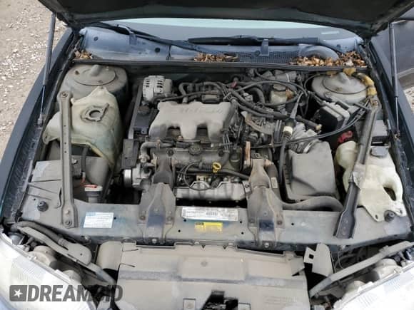 2000 Chevrolet Lumina с VIN 2G1WL52J1Y1339668, выставлен на аукционе Copart как лот 78096474 с пробегом 266 753 миль миль и Списание • Salvage title. История ставок и продаж доступна на DreamBid. Изображение 11.