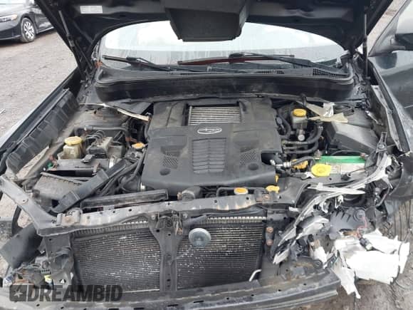 2010 Subaru Forester XT Limited with VIN JF2SH6FC4AH772446, listed as a IAAI auction lot 43422237 with 190,192 mi miles and . Bid and sale history available at DreamBid. Image 10.