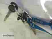 2007 Chevrolet Express Cargo с VIN 1GCFG15X371247860, выставлен на аукционе IAAI как лот 43209852 с пробегом 105 937 миль миль и . История ставок и продаж доступна на DreamBid. Изображение 11.