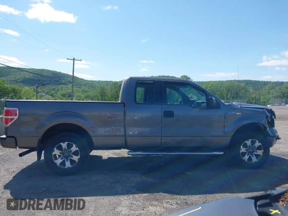 2013 Ford F-150 XL with VIN 1FTEX1EM9DFC99848, listed as a IAAI auction lot 42297022 with 175,466 mi miles and . Bid and sale history available at DreamBid. Image 13.