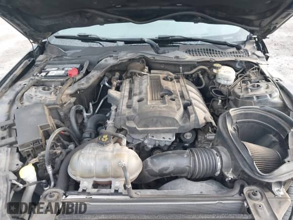 2016 Ford Mustang EcoBoost Premium with VIN 1FA6P8TH6G5301493, listed as a IAAI auction lot 43103500 with 117,006 mi miles and . Bid and sale history available at DreamBid. Image 10.