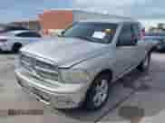 2010 Dodge 1500 SLT with VIN 1D7RB1GT2AS194789, listed as a IAAI auction lot 42480543 with 302,270 mi miles and . Bid and sale history available at DreamBid. Image 18.