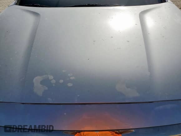 2020 Hyundai Santa Fe Limited with VIN 5NMS53AA7LH289059, listed as a Copart auction lot 66723675 with Not provided miles and Salvage title. Bid and sale history available at DreamBid. Image 11.