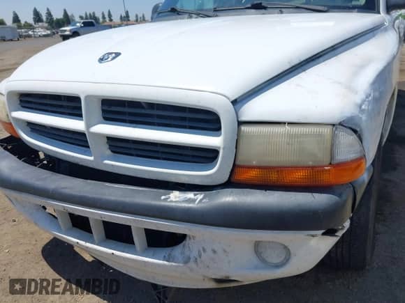 2001 Dodge Dakota with VIN 1B7GL22X91S188051, listed as a IAAI auction lot 40048902 with 304,305 mi miles and . Bid and sale history available at DreamBid. Image 18.