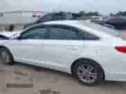 2016 Hyundai Sonata SE с VIN 5NPE24AF5GH384798, выставлен на аукционе IAAI как лот 43032970 с пробегом 109 313 миль миль и . История ставок и продаж доступна на DreamBid. Изображение 13.