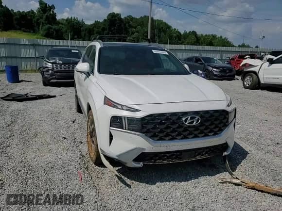 2023 Hyundai Santa Fe Calligraphy with VIN 5NMS5DAL2PH535125, listed as a Copart auction lot 65942405 with Not provided miles and Salvage title. Bid and sale history available at DreamBid. Image 13.