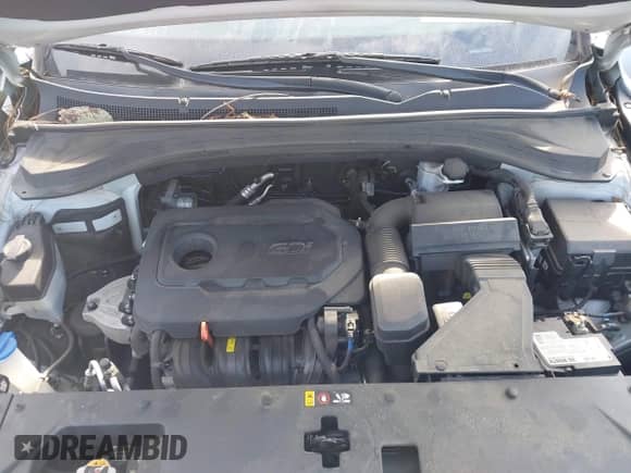 2019 Hyundai Santa Fe SE с VIN 5NMS2CAD3KH082248, выставлен на аукционе IAAI как лот 43286639 с пробегом 95 291 миль миль и . История ставок и продаж доступна на DreamBid. Изображение 10.