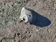 2006 Hyundai Santa Fe GLS с VIN KM8SC13D16U098134, выставлен на аукционе Copart как лот 88976925 с пробегом 305 308 миль миль и Чистый • Clean title. История ставок и продаж доступна на DreamBid. Изображение 13.