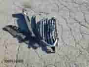 2017 Hyundai Elantra Limited with VIN KMHD84LF0HU243079, listed as a Copart auction lot 67252905 with 109,657 mi miles and Salvage title. Bid and sale history available at DreamBid. Image 12.