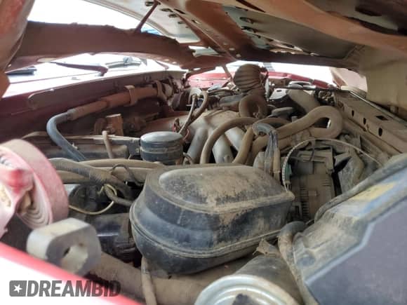 1996 Ford F-150 с VIN 1FTEF14Y3TLB69636, выставлен на аукционе Copart как лот 66605694 с пробегом Не указан миль и Чистый • Clean title. История ставок и продаж доступна на DreamBid. Изображение 11.