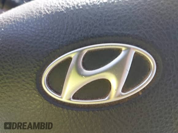 2008 Hyundai Veracruz GLS с VIN KM8NU73C48U047900, выставлен на аукционе IAAI как лот 43402302 с пробегом 211 840 миль миль и . История ставок и продаж доступна на DreamBid. Изображение 12.