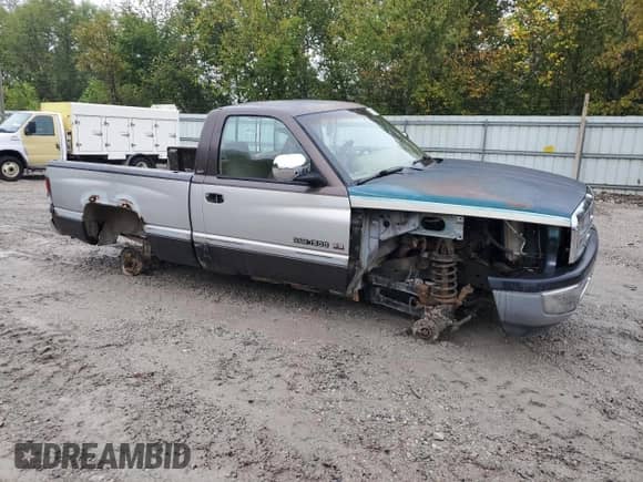 1997 Dodge 1500 with VIN 1B7HF16Y8VJ597016, listed as a Copart auction lot 81709235 with 185,863 mi miles and Salvage title. Bid and sale history available at DreamBid. Image 4.