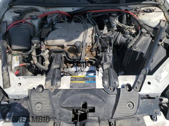 2009 Chevrolet Impala Police Police z VIN 2G1WS57M491257554, wystawiony jako Copart lot #64455635 z przebiegiem 98 905 mil mil oraz Szkoda całkowita • Salvage title. Historia ofert i sprzedaży dostępna na DreamBid. Obrazek 11.