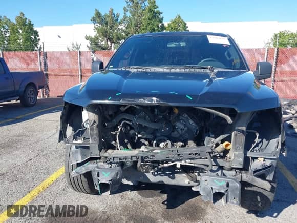 2015 Ford F-150 XL with VIN 1FTEW1CF8FKD36874, listed as a IAAI auction lot 43469039 with 153,011 mi miles and . Bid and sale history available at DreamBid. Image 6.